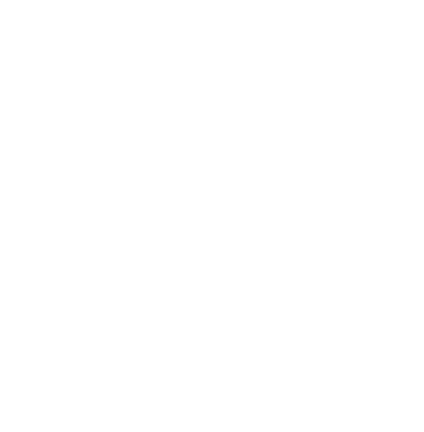 Two Silver Logo